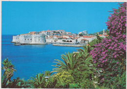 CROATIE,DUBROVNIK ,prés De Bosnie Herzégovine,monténégro - Croatia