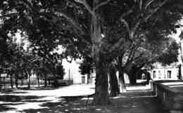 Delcampe - Montauroux En 1956 - Place Du Clos - Montauroux