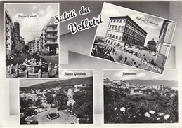 Cartolina - Postcard - VELLETRI -  SALUTI DA VELLETRI - Velletri
