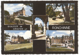 Assesse - Bonjour De / Groeten Uit Ronchinne - Centre De Vacances Des Postiers / Vacantiecentrum Voor Postbedienden - Assesse