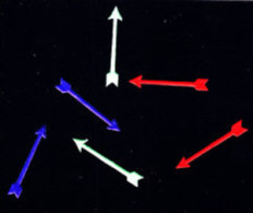 FLECHES SIGNALITIQUES GOMMEES POUR VOS VARIETES. Vendu Par Paquet De 100 De Même Couleur. - Andere & Zonder Classificatie