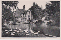 BELGIQUE . CPSM 9X14 . BRUGGE Porte Maréchale.(Nombreux Cygnes) - Brugge