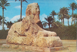 EGYPT  - GIZA-  The SPHINX Of SAKKARA - Sphynx