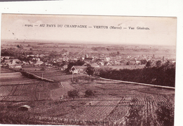 B CPA 51 VERTUS (Marne) Vue Generale Au Pays Du Champagne - Vertus