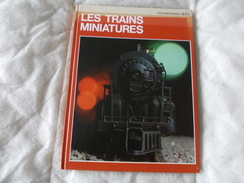 Les Trains Miniatures Par Uberto Tosco - Modelbouw