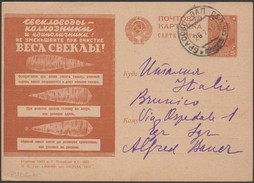 URSS 1931. Carte Postale De Propagande : Récolte Et Lavage Des Betteraves à Sucre - Agriculture