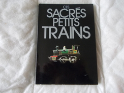 Ces Sacrés Petits Trains - Modellbau