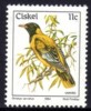 Ciskei - 1981 Birds 11c Oriole MNH** - Ciskei