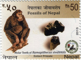 Prehistoric RAMAPITHECUS Fossil STAMP 2013 NEPAL MnH - Chimpansees