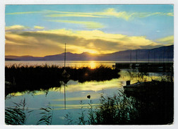 BAAR   ABENDSTIMMUNG  AM  SEE   (FLAMME)  2 SCAN        (VIAGGIATA) - Baar