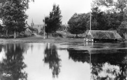 Brinon-sur-Sauldre. Bords De La Sauldre. - Brinon-sur-Sauldre