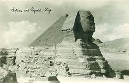 Pays Div-ref H807- Egypte - Egypt -carte Photo Sphinx Et Pyramides - Photo Postcard - Carte Bon Etat  - - Sfinge