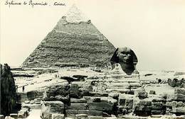 Pays Div-ref H806- Egypte - Egypt -carte Photo Sphinx Et Pyramides- Photo Postcard  - Carte Bon Etat  - - Sfinge