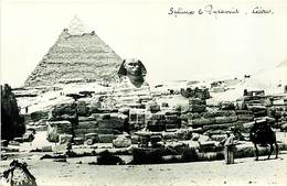 Pays Div-ref H804- Egypte - Egypt -carte Photo Sphinx Et Pyramides- Photo Postcard  - Carte Bon Etat  - - Sphynx