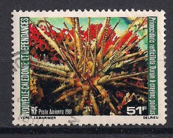 YT N° PA 216 - Oblitéré - Oursins - Used Stamps