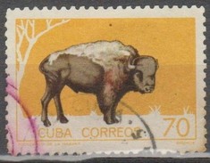 CU BA. FAUNA - ZOOLOGICO DE LA HABANA. USADO - USED. - Usados