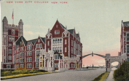 New York College - Enseignement, Écoles Et Universités