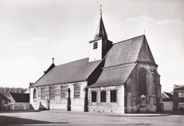 Denderbelle, St Maartenskerk (pk36202) - Lebbeke