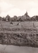 Denderbelle, Algemeen Zicht Met Kerk (pk36205) - Lebbeke