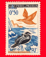 Nuovo - MNH - Saint-Pierre E Miquelon - 1963 - Uccelli - Anatre - Edredone Comune - Somateria Mollissima - 0.50 - Ongebruikt