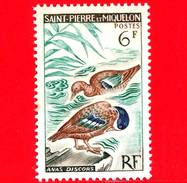 Nuovo - MNH - Saint-Pierre E Miquelon - 1963 - Uccelli - Birds - Anatre - Marzaiola Americana - Anas Discors - 6 - Ongebruikt