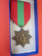 France Médaille D'honneur Du Travail Ministère Santé Publique & Population République Française La Patrie Reconnaissante - Frankreich