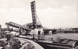 Dendermonde, Brug Over De Schelde (pk36239) - Dendermonde