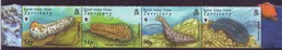 2008 WWF Bande De Timbres Concombre Des Mers Oblitérée / Strip Of Stamps Sea Cucumber Cancelled - British Indian Ocean Territory (BIOT)