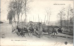 FOLKLORE  -- SCENE DU CENTRE  - N° 531 - Attelages Limousins - Autres & Non Classés