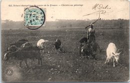 FOLKLORE  -- SCENES CHAMPÊTRES Du CENTRE De La FRANCE - Chèvres Au Pâturage - Altri & Non Classificati