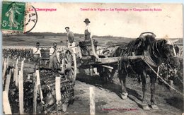 FOLKLORE  -- La CHAMPAGNE  - Travail De La Vigne - Les Vendanges - Chargement Du Raisin - Autres & Non Classés