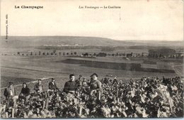 FOLKLORE  -- La CHAMPAGNE  - Les Vendanges - La Cueillette - Otros & Sin Clasificación