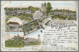 Ansichtskarten: Sachsen-Anhalt: ZUSAMMENSTELLUNG Mit 59 Alten, Nur Besseren, Ansichtskarten Ab 1888. Enthalten Sind Vorl - Autres & Non Classés