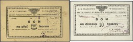 Ukraina / Ukraine: Zhydachiw Set With 16 Small Coupons In Polish Language 10 Halerzy To 5 Koron 1918, P.NL (R 14749-1475 - Ukraine