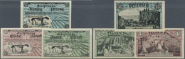 Deutschland - Notgeld - Westfalen: Sundwig, H. Meise, "Heinrichshöhle", 50 Pf., 1, 2 Mark, O. D., Erh. I, Total 3 S - Autres & Non Classés