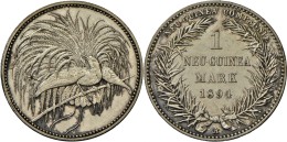 Deutsch-Neuguinea: 1 Neu-Guinea Mark 1894 A, 5.54g, J 705, Berieben Kratzer, Vz+. - Deutsch-Neuguinea