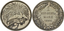 Deutsch-Neuguinea: 1 Neu-Guinea Mark 1894 A, 5.54g, J 705, Berieben Kratzer, Vz+. - German New Guinea