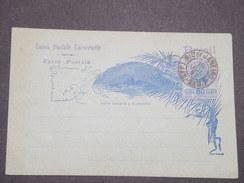 BRÉSIL - Entier Postal Oblitéré De Rio De Janeiro En 1897 - L 7810 - Postwaardestukken