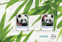 Nederland / The Netherlands - Postfris / MNH - Sheet Reuzenpanda 2017 - Ungebraucht