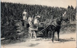 FOLKLORE  -- La CHAMPAGNE  - Vendange En Champagne - N° 16 - Transport Du Raisin à La Cuve - Sonstige & Ohne Zuordnung