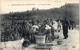 FOLKLORE  -- La CHAMPAGNE  - Vendange En Champagne - N° 21 - Le Triage Du Raisin - Autres & Non Classés