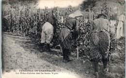FOLKLORE  -- La CHAMPAGNE  - Vendange En Champagne - N 10 - - Sonstige & Ohne Zuordnung