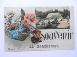 SOUVENIR DE MARCHENOIR   RARE - Marchenoir