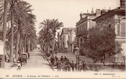 83....VAR...HYERES...AVENUE DES PALMIERS - Hyeres