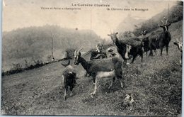 FOLKLORE -- En CORREZE -- La Corréze Illustrée - N° 14 - Chèvres Dans La Montagne - Other & Unclassified