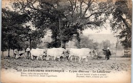 FOLKLORE -- La Gascogne Historique - Types Gascons - La Laboureur - Andere & Zonder Classificatie