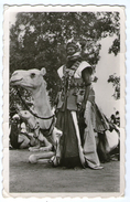 CPA   NIGER    1955     PARTISAN MEHARISTE    CHAMEAU - Niger