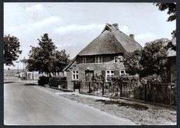 A4573 - Alte Foto Ansichtskarte - Reiberg Kr. Grimmen - Fischerhaus OT Stahlbrode - Grimmen