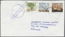 Simbabwe: 1995/1996, Accumulation Of Apprx. 440 Commercial Airmail Covers To The UK, Bearing Commemoratives With Many At - Zimbabwe (1980-...)