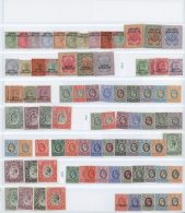 Britisch-Somaliland: 1903/1960, Mint Collection On Stocksheets, Incl. SG Nos. 1/13, 18/24, 25/30, 32/44, 60/72, 73/85 Et - Somalië (1960-...)